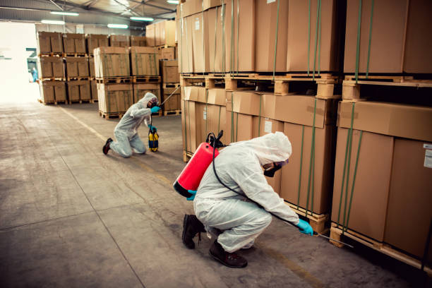 Best Termite Control Services  in Creston, IA