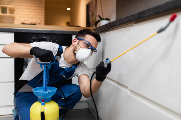 Reliable Creston, IA Pest Control Solutions