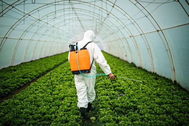 Best Pest Prevention Services  in Creston, IA