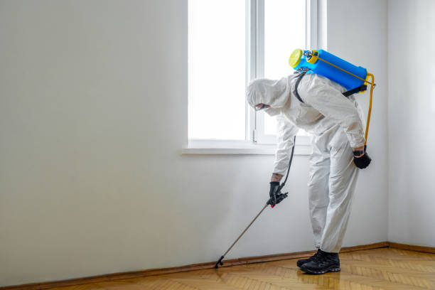 Best Wasp Removal Services  in Creston, IA