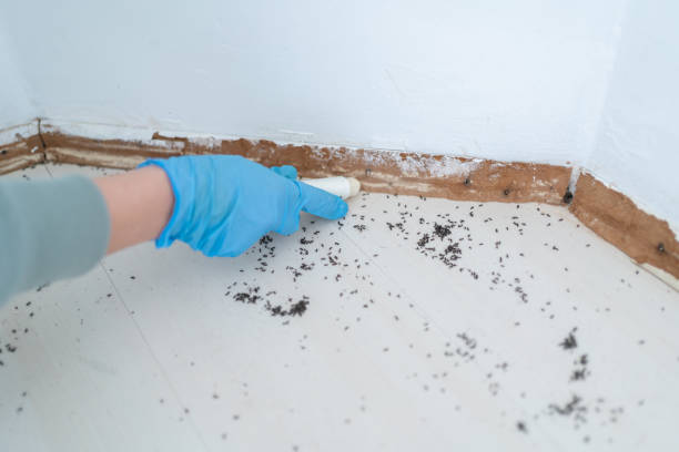 Best Pest Control Near Me in Creston, IA